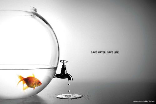 save-water-save-life.jpg
